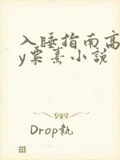 入睡指南高干by粟熹小说