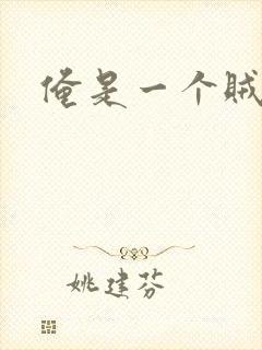 俺是一个贼