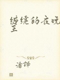 缠绕的夜晚双男主
