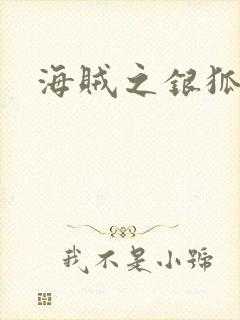 海贼之银狐大将