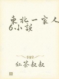 东北一家人1一6小说封面