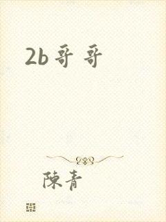 2b哥哥