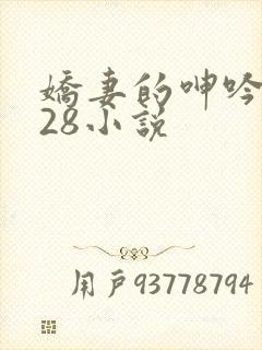 娇妻的呻吟1—28小说封面