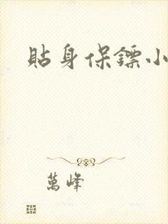 贴身保镖小说