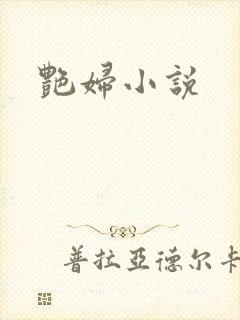 艳妇小说