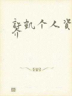 许凯个人资料简介