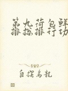 第九荷包鲜辣肉排总排行功能介绍