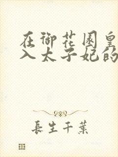 在御花园皇上进入太子妃的小说