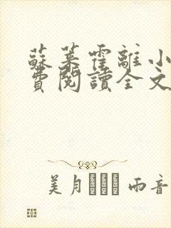 苏莱霍离小说免费阅读全文封面
