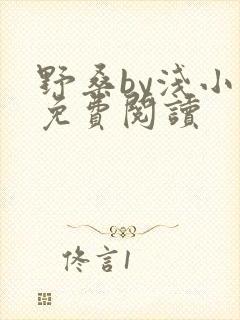 野桑by浅小说免费阅读