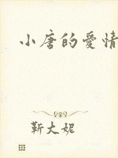 小唐的爱情史