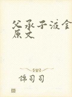 父承子液金银花原文封面