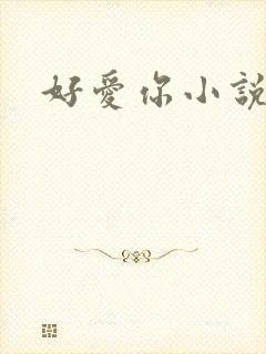好爱你小说