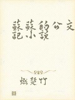 苏苏的公交车日记小说