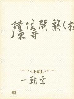 错位关系(校园)东哥