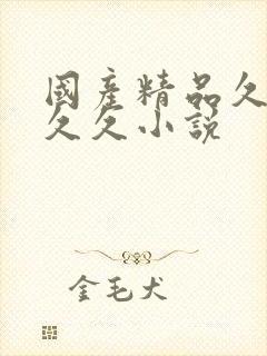国产精品久久久久久小说封面