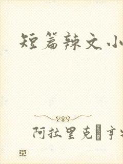 短篇辣文小说