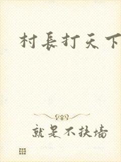 村长打天下