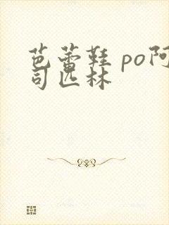 芭蕾鞋 po阿司匹林