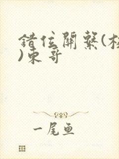 错位关系(校园)东哥