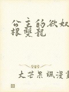 公主的欲奴h四根双龙