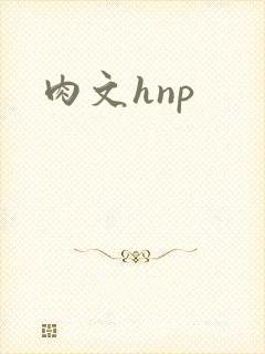 肉文hnp