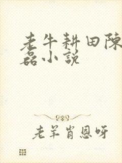 老牛耕田陈雪王磊小说