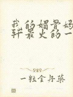 我的媚骨妈妈林轩最火的一句