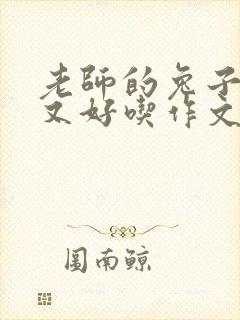 老师的兔子又大又好吃作文封面