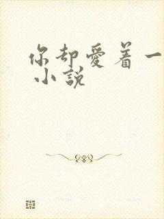 你却爱着一个他 小说