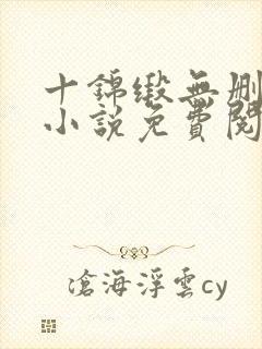 十锦缎无删原著小说免费阅读