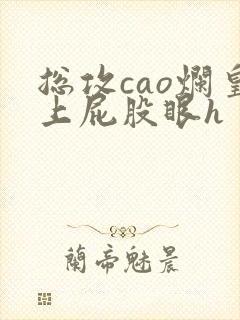 总攻cao烂皇上屁股眼h