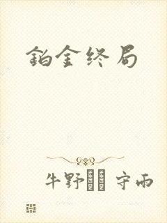 铂金终局封面