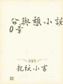 公与憩小说400章封面