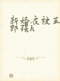 新婚夜被五个伴郎强h