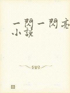 一闪一闪亮星星小说