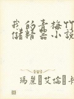 我的青梅竹马是储精器小说封面