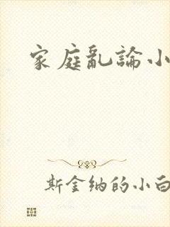 家庭乱论小说