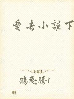 爱去小说下载网