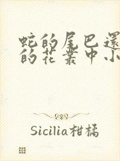 蛇的尾巴还在我的花丛中小说