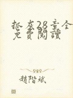 抓灰28章全部免费阅读