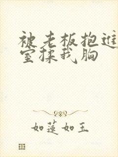 被老板抱进办公室揉我胸封面