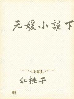 元媛小说下载封面