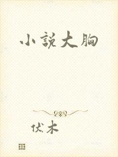 小说大胸