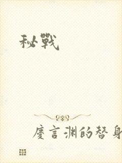 秘战