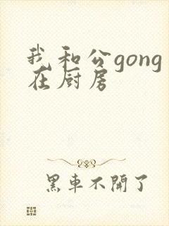 我和公gong在厨房