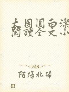 大团圆白洁免费阅读全文小说