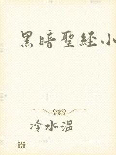 黑暗圣经小说