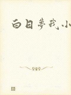 白日梦我小说