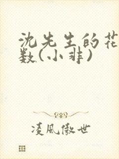 沈先生的花式调数(小非)